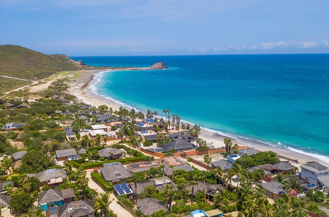 Cabo Pulmo 2 Tank Certified Dive with Lunch - Wildlife, visibility, and the natural tradeoff