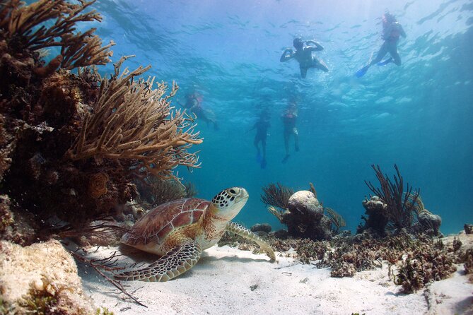 Cabo Pulmo National Park Snorkel Expedition from Cabo San Lucas - The East Cape drive sets the pace