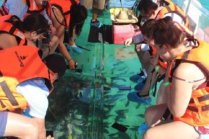 Cabo's Original Clear Boat Tour: See the Arch and Land's End - Why the clear boat changes the Cabo sightseeing ride