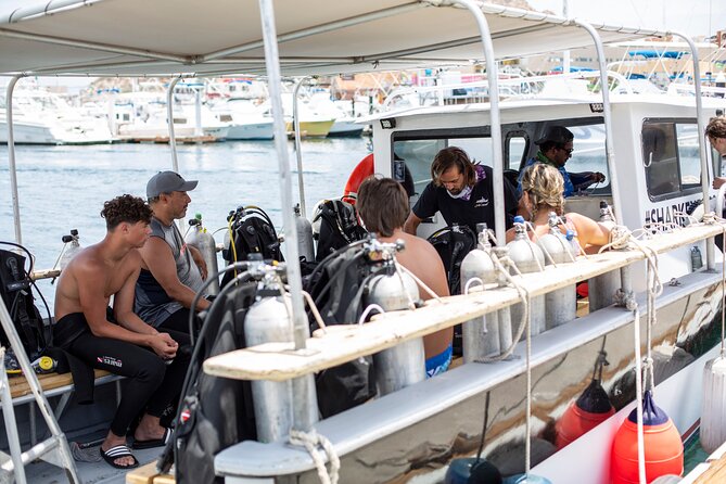 Cabo San Lucas 2 Tank Scuba Diving - How the small group affects the day