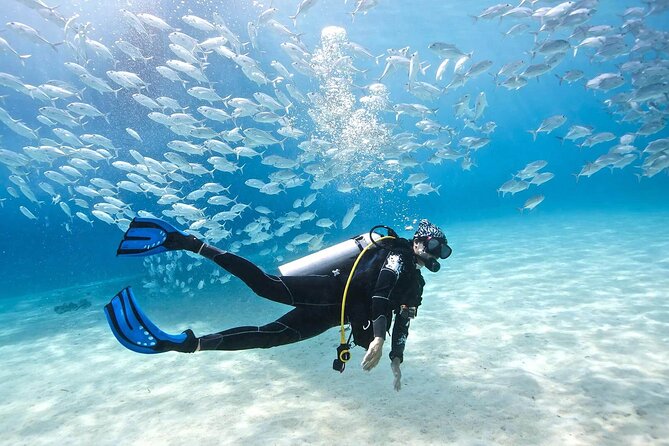 Cabo San Lucas 2 Tank Scuba Diving - Who should book this Cabo outing