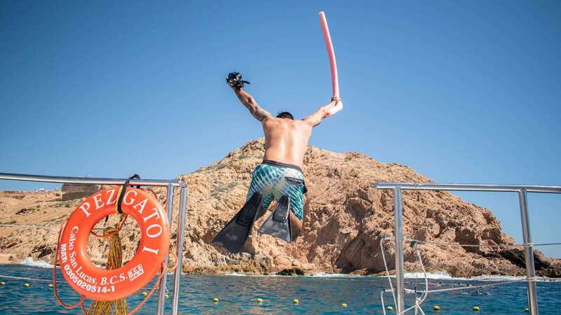 Cabo San Lucas: 4-Hour Snorkeling Cruise with Open Bar - The Arch, Lover’s Beach, and the sea lion colony