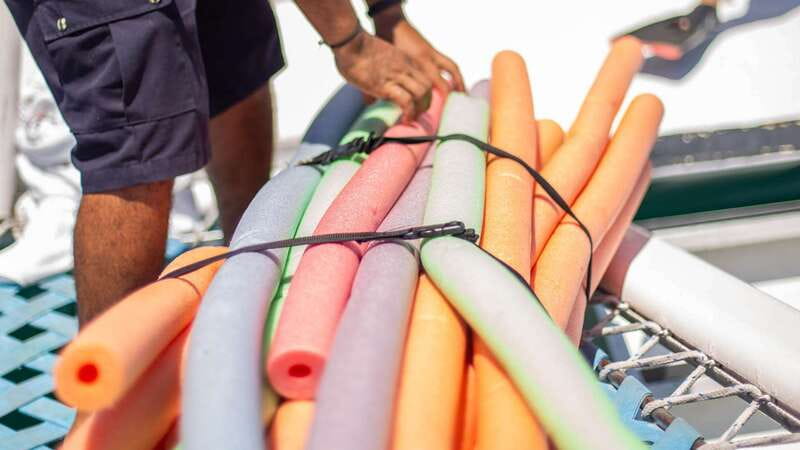 Cabo San Lucas: 4-Hour Snorkeling Cruise with Open Bar - Who will enjoy this Pez Gato cruise