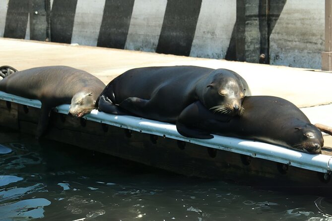 Cabo San Lucas Arc Group Tour in Glass Bottom Boat - Key points to know before you book