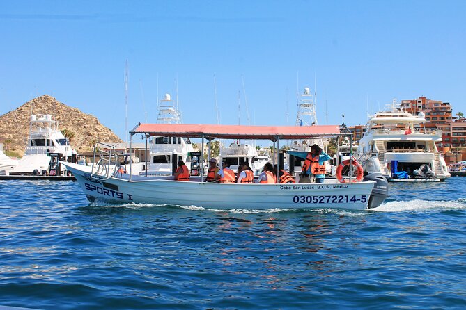Cabo San Lucas Arc Group Tour in Glass Bottom Boat - Meeting at D Dock without losing time