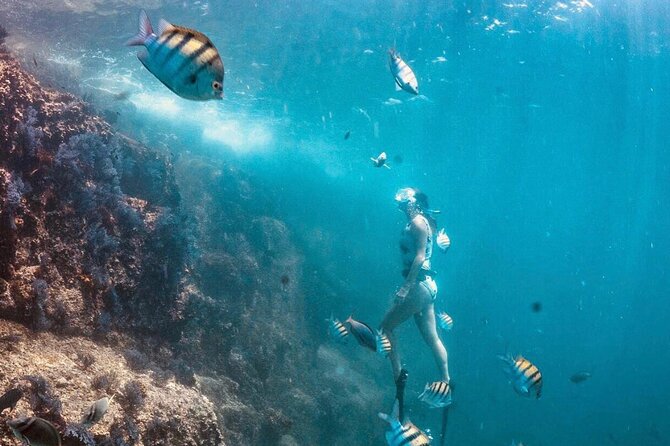 Cabo San Lucas Arch Boat Tour and Snorkeling at Pelican Rock - Timing is the biggest thing to clarify