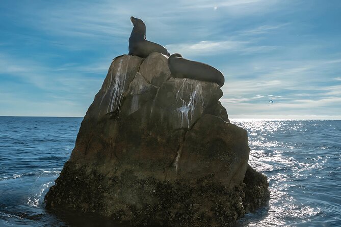 Cabo San Lucas Arch & City Tour: Glass-Bottom Boat & Tequila - What the $69 price really covers