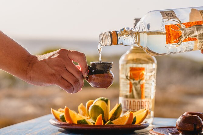 Cabo San Lucas Arch Cruise and Shopping Tour - How much value do you get for $89?