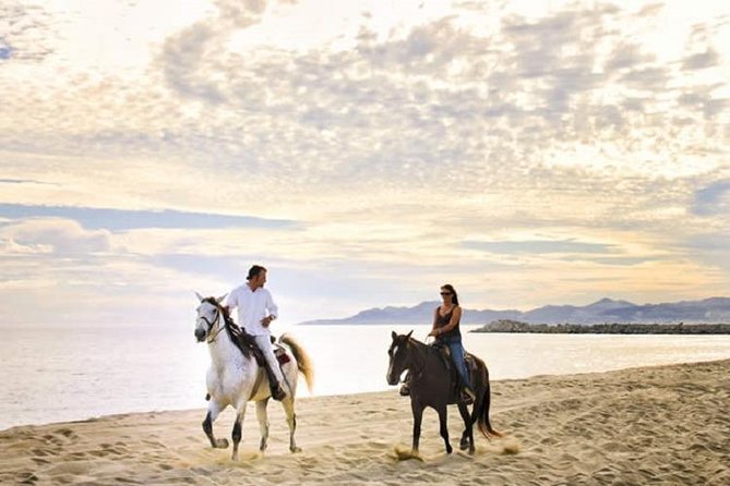 Cabo San Lucas Beach and Desert Horseback Ride - From Migrino’s dry riverbeds to the Pacific shore