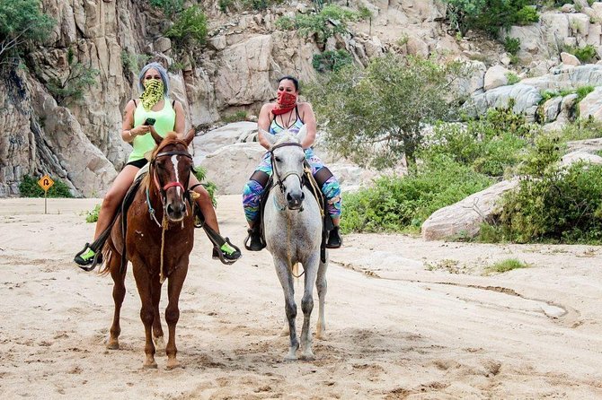 Cabo San Lucas Beach and Desert Horseback Ride - What the horses and guides are like