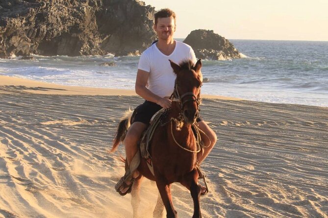 Cabo San Lucas Beach and Desert Horseback Ride - Transportation, timing, and the meeting point