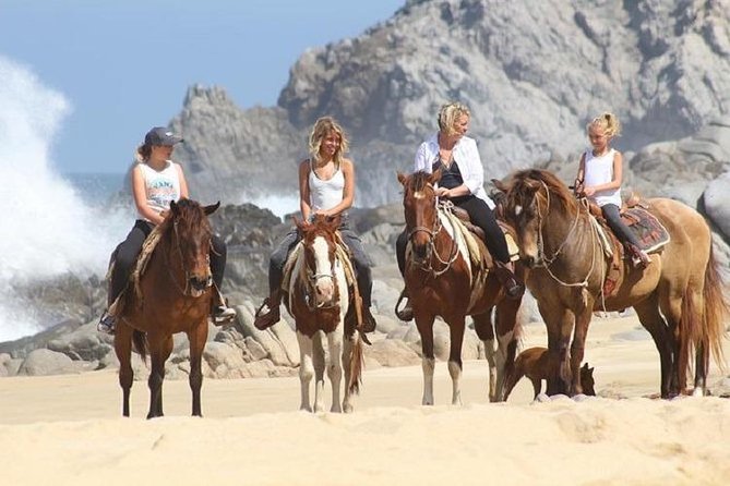 Cabo San Lucas Beach and Desert Horseback Ride - The best time to ride