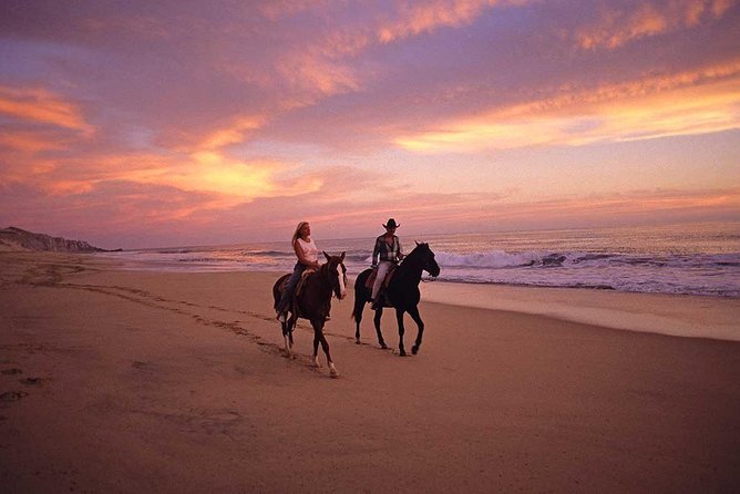 Cabo San Lucas Beach and Desert Horseback Ride - Who should book this Cabo horseback ride?