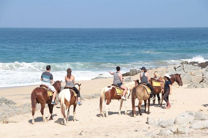 Cabo San Lucas Beach and Desert Horseback Ride - Is two hours comfortable for a first ride?
