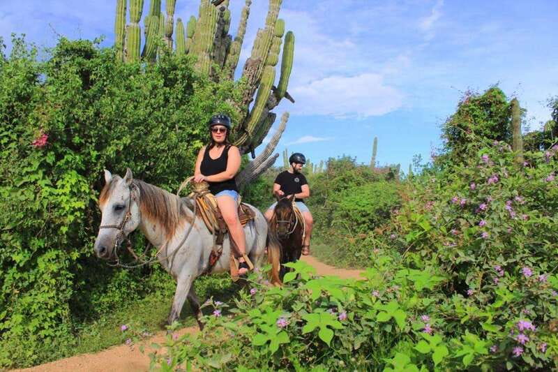 Cabo San Lucas: Beach & Desert Horseback Riding Tour - Key points before you book