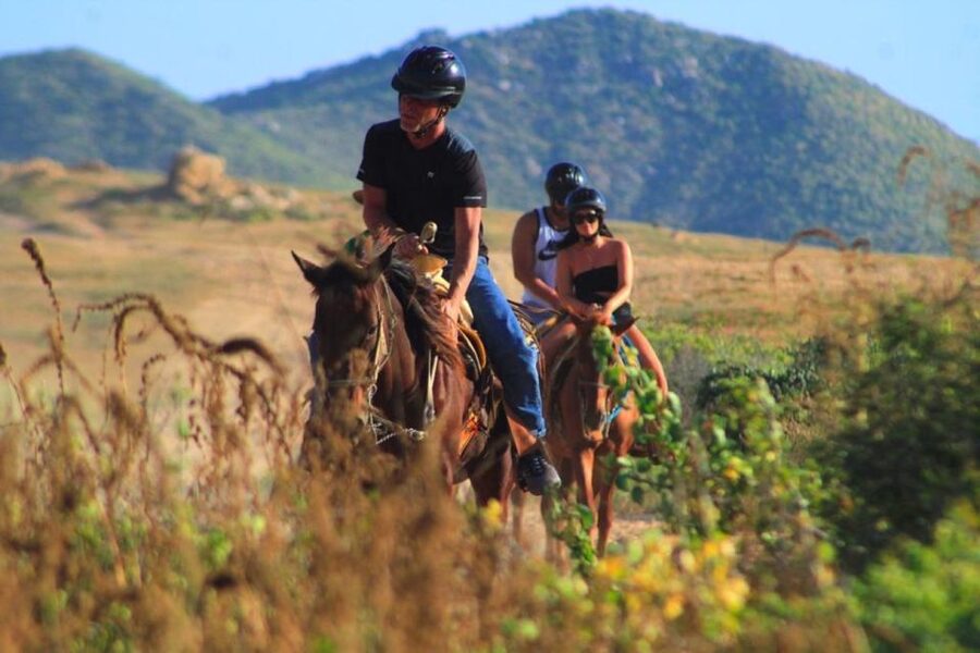 Cabo San Lucas: Beach & Desert Horseback Riding Tour - Who should book this ride?