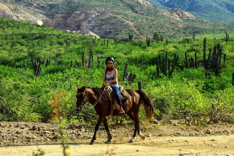 Cabo San Lucas: Beach & Desert Horseback Riding Tour - Is $97 a fair price?