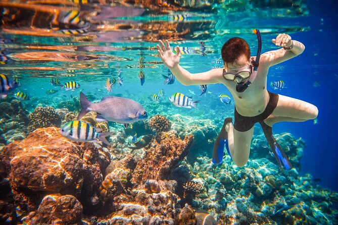 Cabo San Lucas Boat Tour and Snorkel at Pelican Rock - Who will enjoy this most