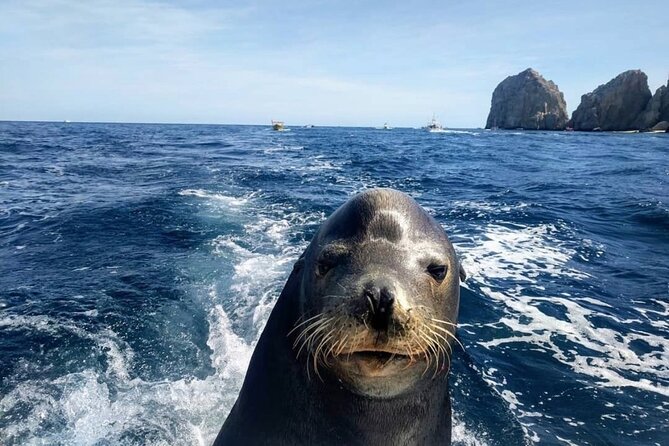 Cabo San Lucas Boat Tour and Snorkel at Pelican Rock - Practical tips for a better afternoon