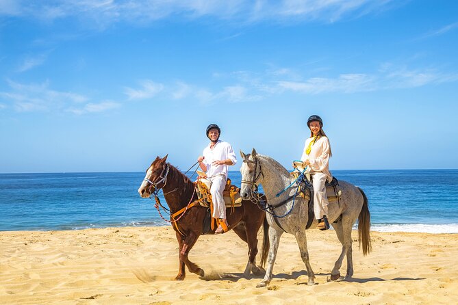 Cabo San Lucas Camel and Horseback Ride with ATV Adventure - ATV riding through desert trails