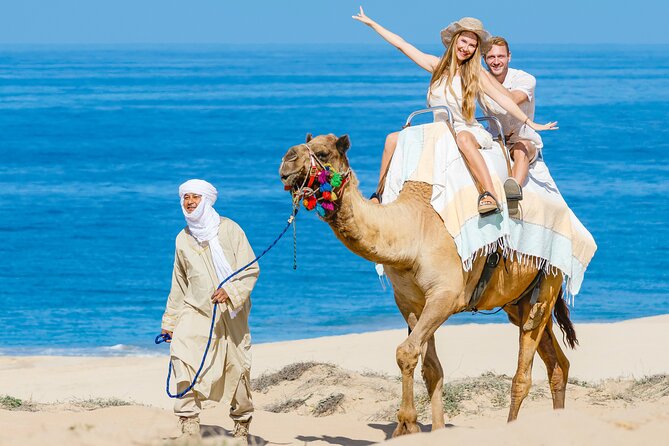 Cabo San Lucas Camel and Horseback Ride with ATV Adventure - What the $175 price really covers