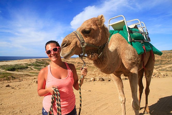 Cabo San Lucas Camel Ride and Encounter on Beach and Desert - Key points to know before booking