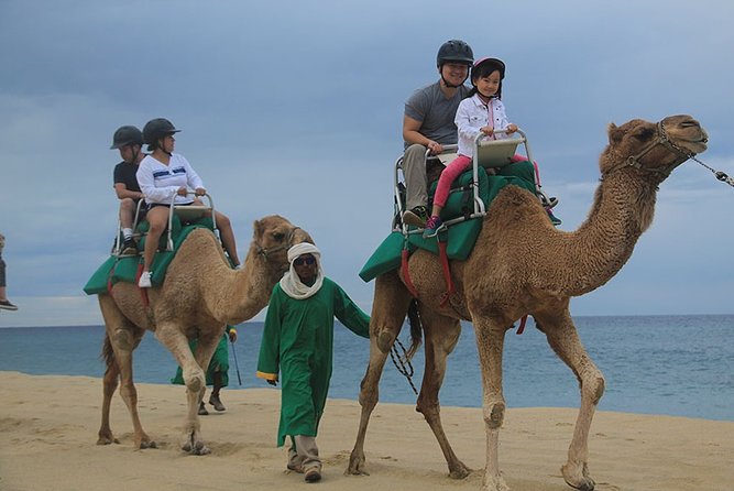 Cabo San Lucas Camel Ride and Encounter on Beach and Desert - Riding a camel beside Cabo’s Pacific surf