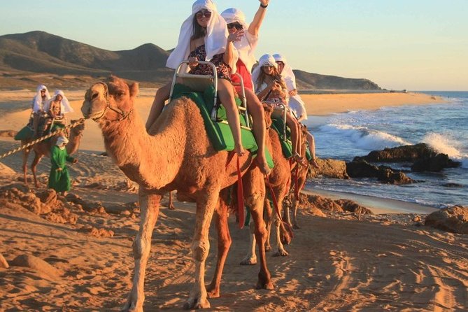 Cabo San Lucas Camel Ride and Encounter on Beach and Desert - What the camel ride is really like