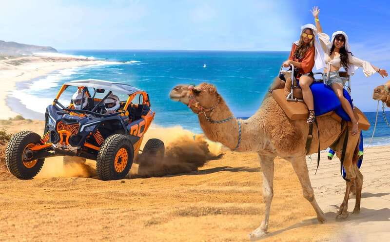Cabo San Lucas: Camel Ride & Off-Road UTV Combo Adventure - Key points to know before you book
