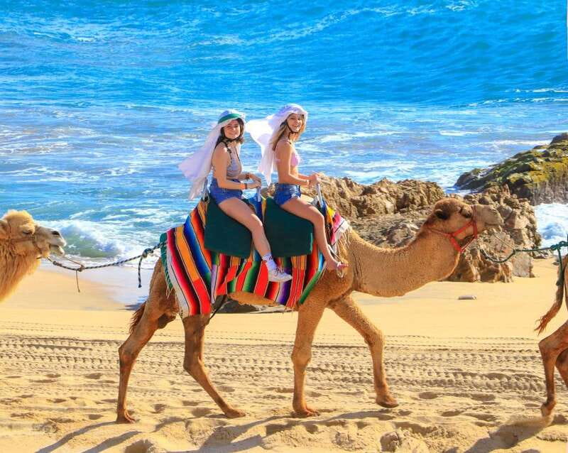 Cabo San Lucas: Camel Ride & Off-Road UTV Combo Adventure - Who will enjoy this Cabo excursion most?