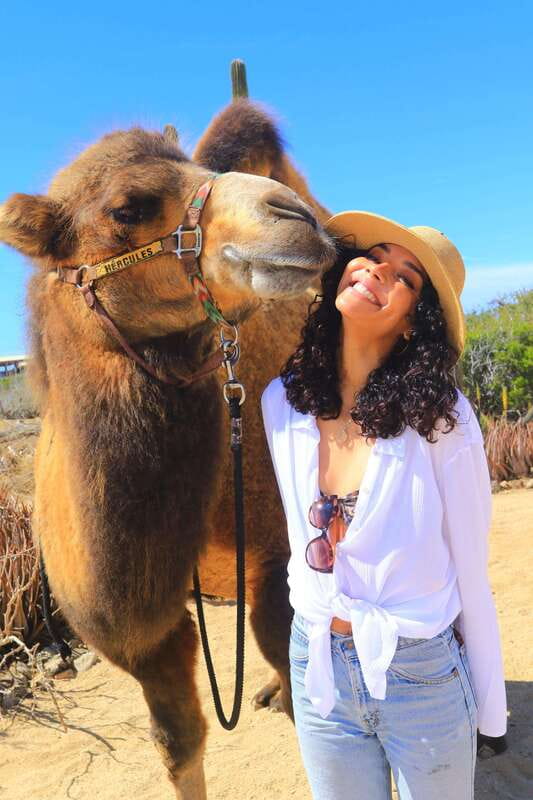 Cabo San Lucas: Camel Ride & Off-Road UTV Combo Adventure - The real price, including fees and photos