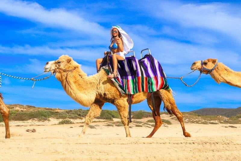 Cabo San Lucas: Camel Ride & Off-Road UTV Combo Adventure - Safety, comfort, and what to bring