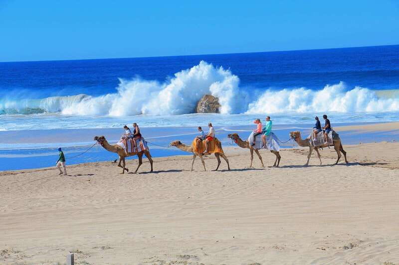 Cabo San Lucas: Camel Ride & Off-Road UTV Combo Adventure - The camel ride along the Pacific coast