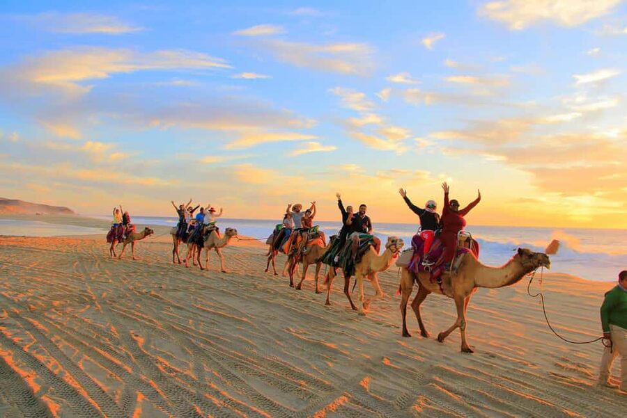 Cabo San Lucas: Camel Ride on the Beach - Key points at a glance