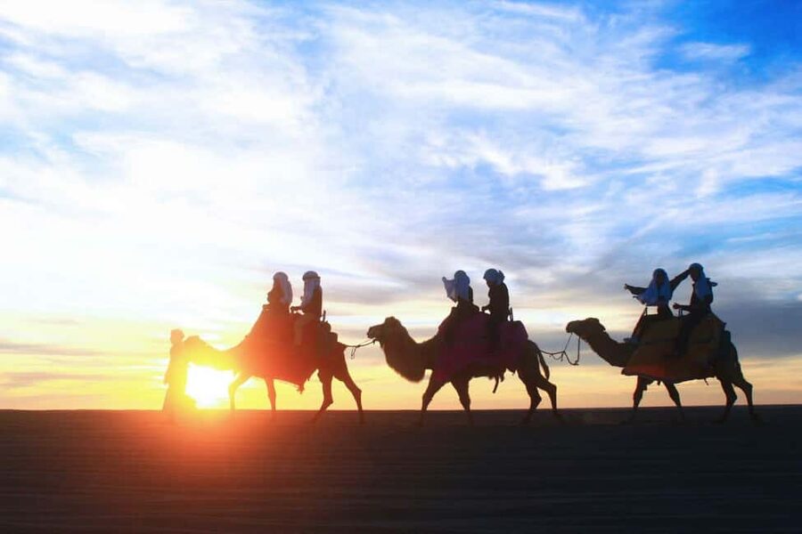 Cabo San Lucas: Camel Ride on the Beach - Should you book it?