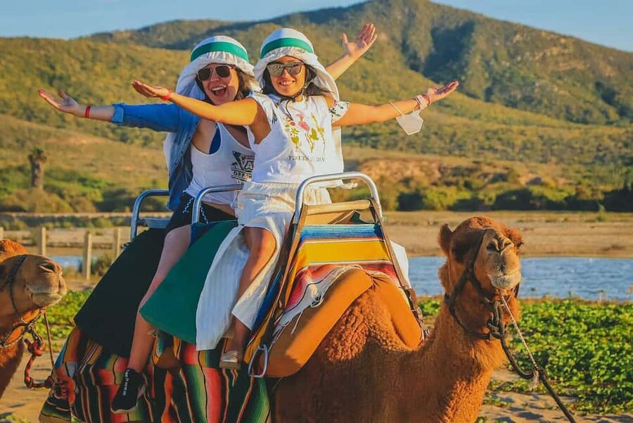 Cabo San Lucas: Camel Ride on the Beach - Meeting the camels and learning from Cesar or Herrera