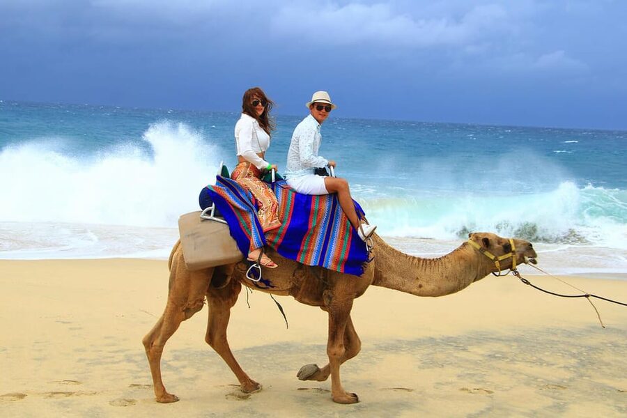 Cabo San Lucas: Camel Ride on the Beach - Is $114 a fair price for the package?