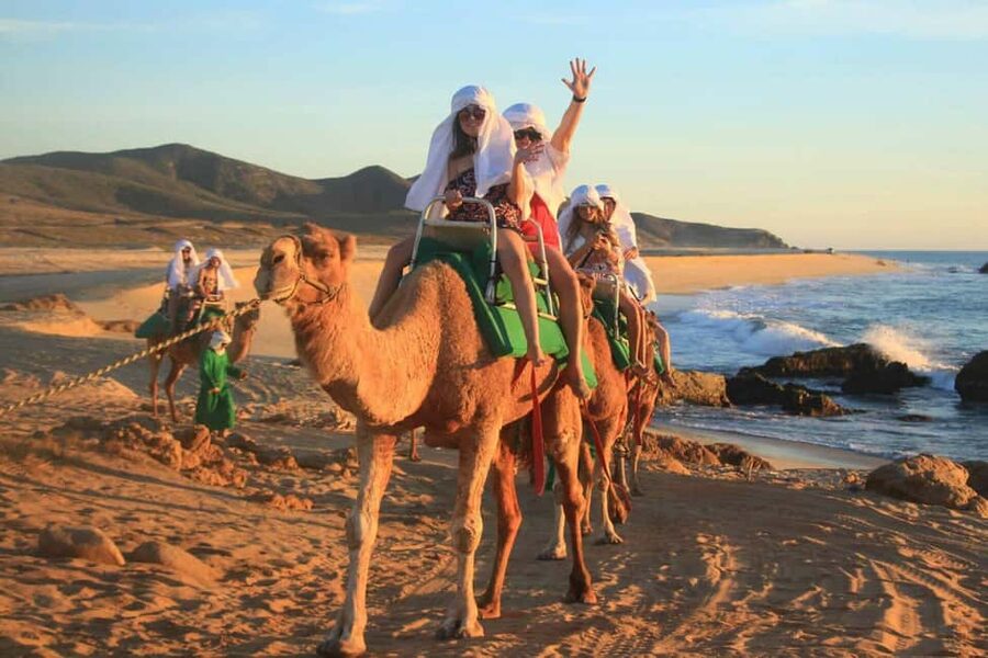 Cabo San Lucas: Camel Ride on the Beach - Pickup, cruise timing, and what to bring