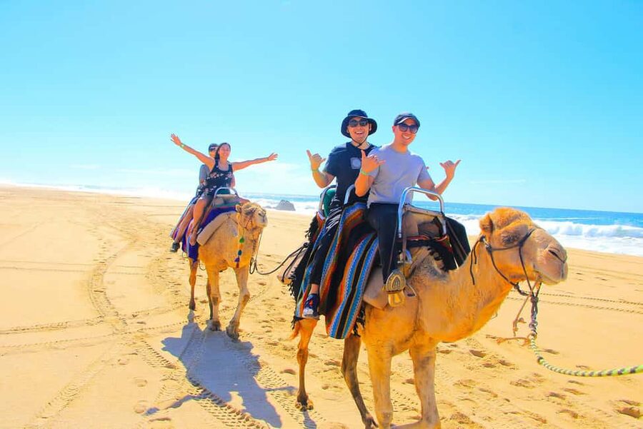 Cabo San Lucas: Camel Ride on the Beach - Who should book this Cabo camel ride?