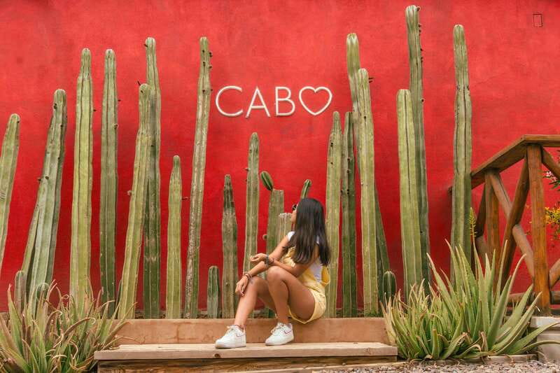 Cabo San Lucas: Camel Safari Tour with Lunch and Tequila - Key points to know before booking