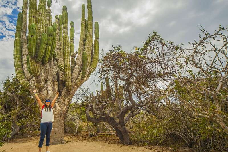 Cabo San Lucas: Camel Safari Tour with Lunch and Tequila - Tequila tasting with a practical warning