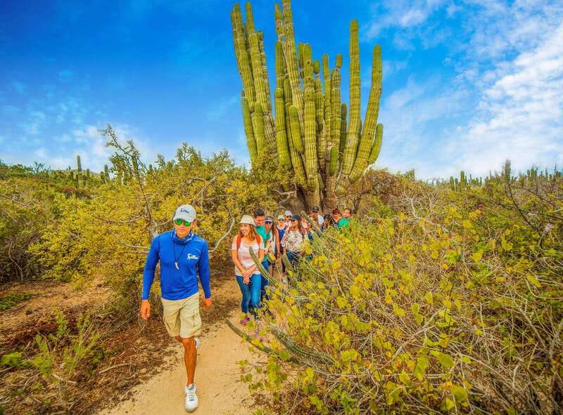 Cabo San Lucas: Camel Safari Tour with Lunch and Tequila - Who will enjoy this Cabo excursion?
