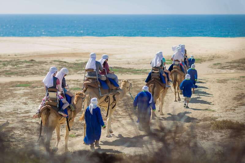 Cabo San Lucas: Camel Safari Tour with Lunch and Tequila - The desert walk and its turtle connection
