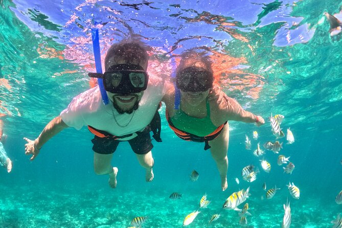 Cabo San Lucas Catamaran Cruise: Snorkel or Sunset Adventure - Pelican Rock and the daytime snorkeling stop