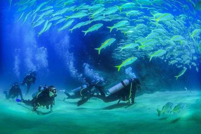Cabo San Lucas Certified 2 Tank Dive at the Famous Arch and Land's End - Key points to know before booking