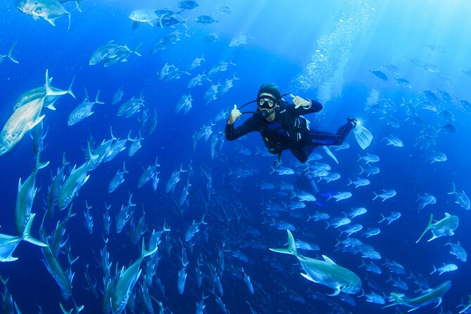Cabo San Lucas Certified 2 Tank Dive at the Famous Arch and Land's End - Why El Arco makes this more than a standard boat trip
