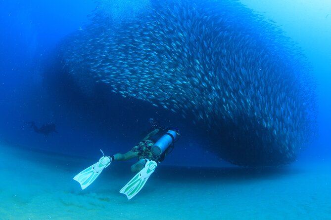 Cabo San Lucas Certified 2 Tank Dive at the Famous Arch and Land's End - Who will get the most from this outing
