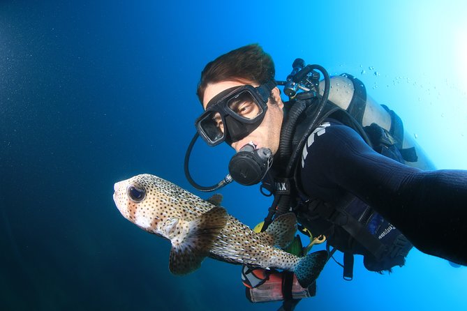 Cabo San Lucas Certified 2 Tank Dive at the Famous Arch and Land's End - What your three and a half hours look like