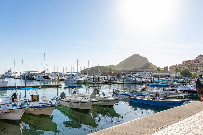 Cabo San Lucas City Tour - Key points to know before booking