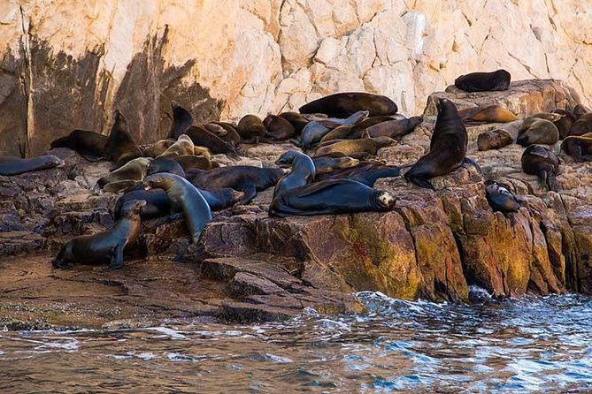 Cabo San Lucas city tour and amazing sea adventure to Lands End! - Timing, shopping, and the return ride